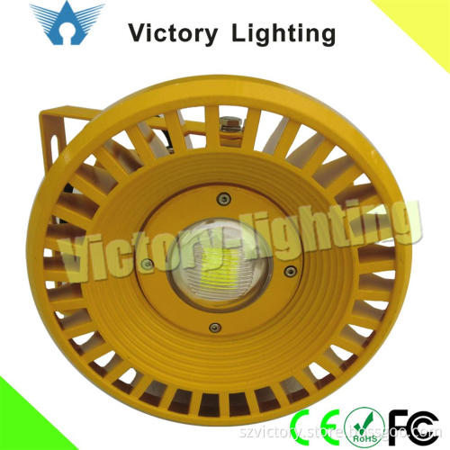 DC24V LED Explosion Proof Light 30W (WY3300C)